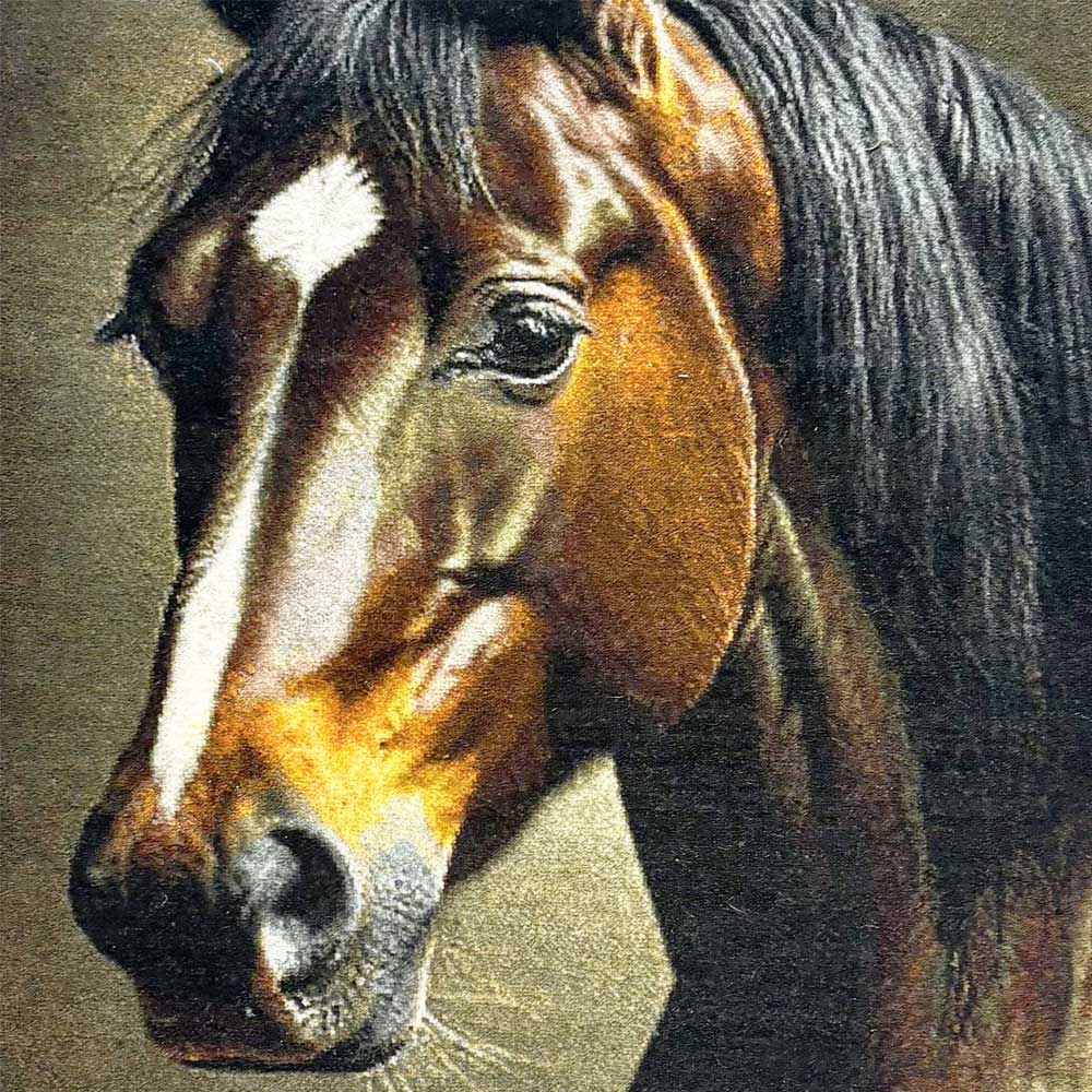 10 10