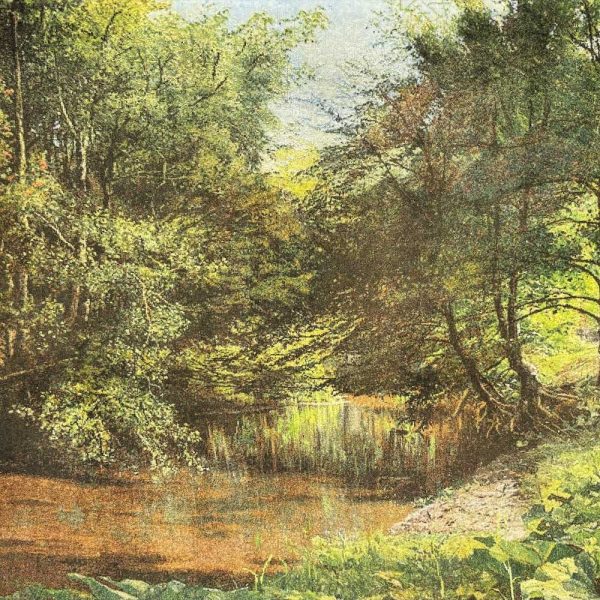 Pond Handmade Pictorial Carpet